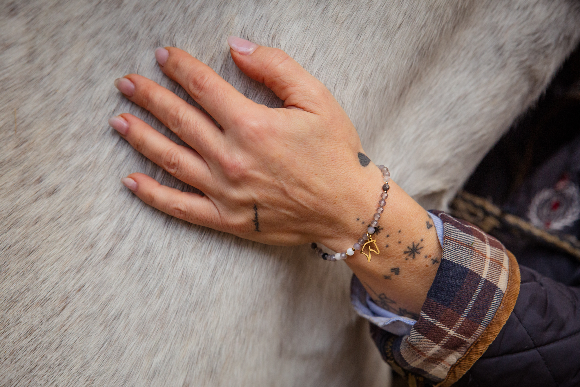 Kolekcja jeździecka